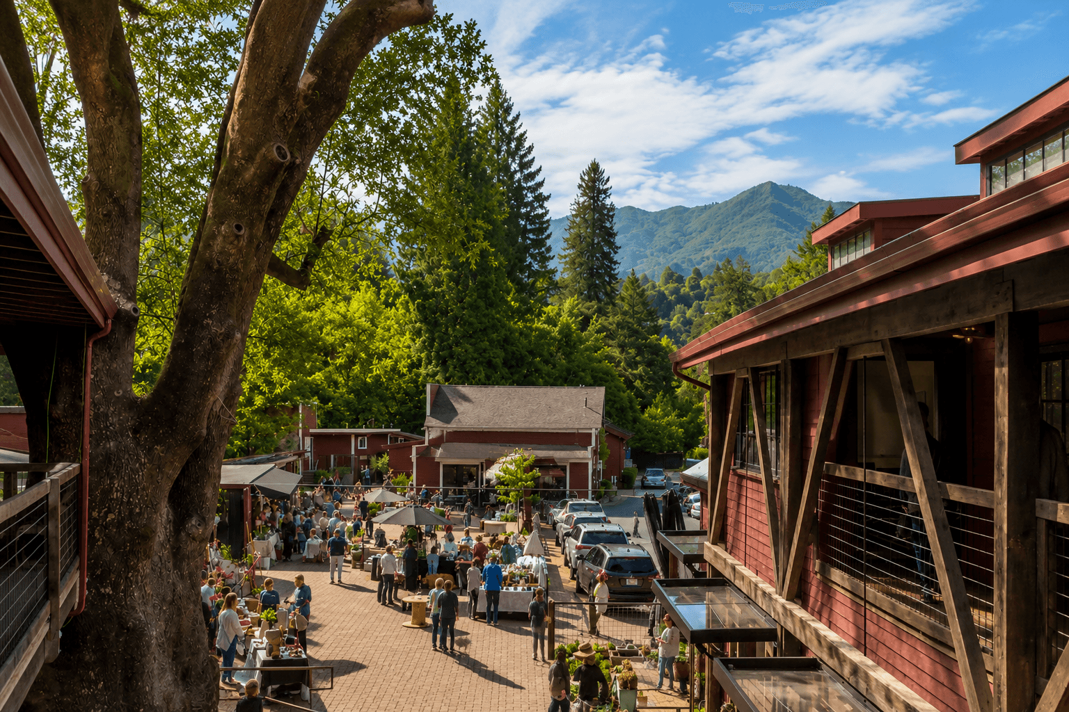 Mill Valley