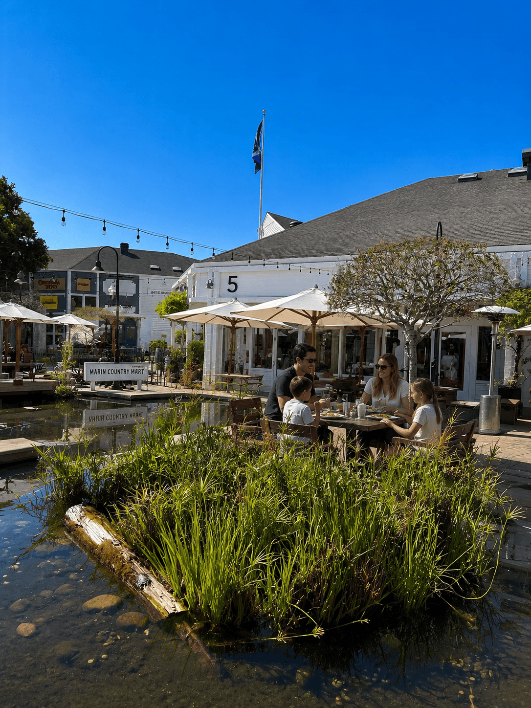 Larkspur Landing
